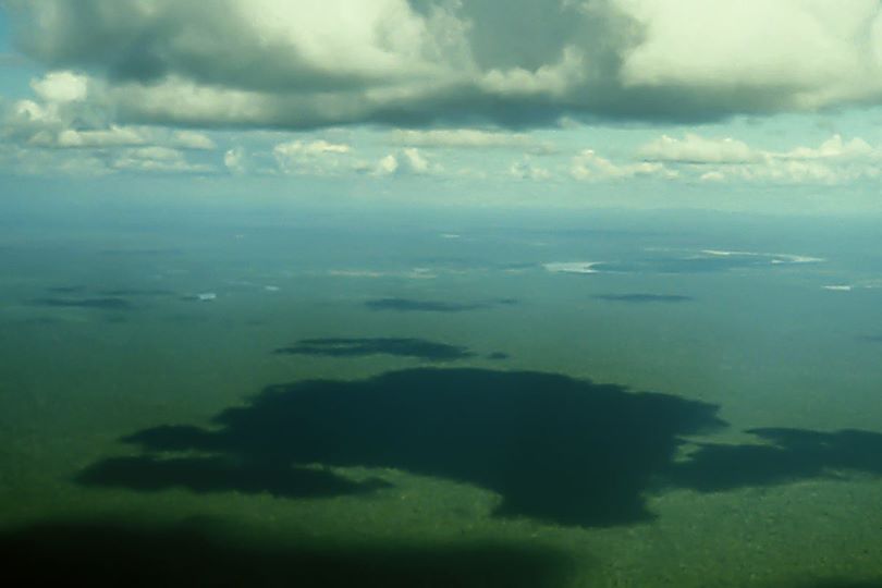 Tropical forests of West Kalimantan