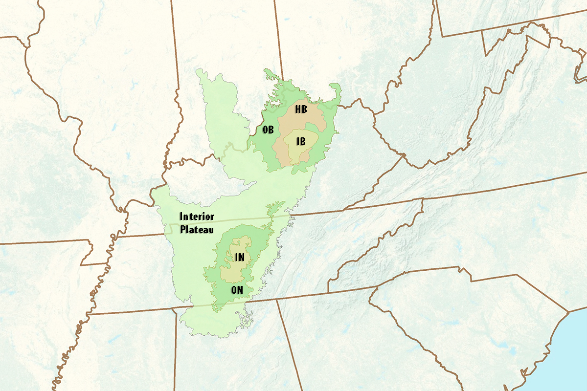 Ecoregions of the Bluegrass and Nashville Basin. IB - Inner Bluegrass, HB - Hills of the Bluegrass, OB - Outer Bluegrass, IN - Inner Nashville Basin, ON - Outer Nashville Basin, all within the Inner Plateau.