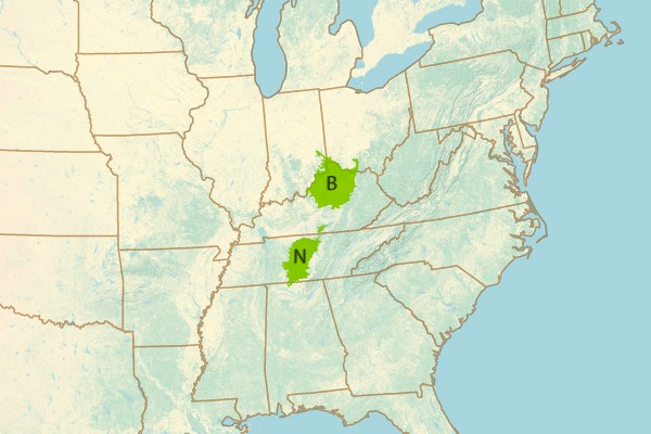 Bluegrass (B) in Kentucky, Ohio and Indiana. Nashville Basin (N) in Tennessee, Alabama and Kentucky.