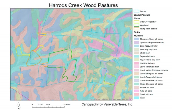 Soil map