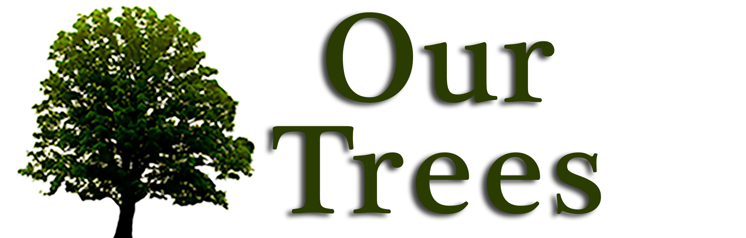 Tree Events and Activities Hub